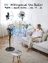 91Mp3KCDJoL._AC_SY879_.webp