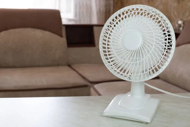 AC/DC  12 inches Table Fan
